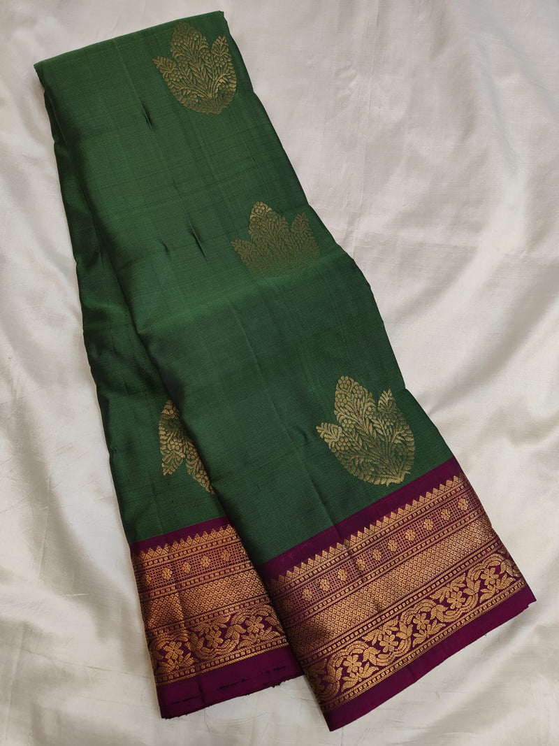 Kanchi Border Soft Silk