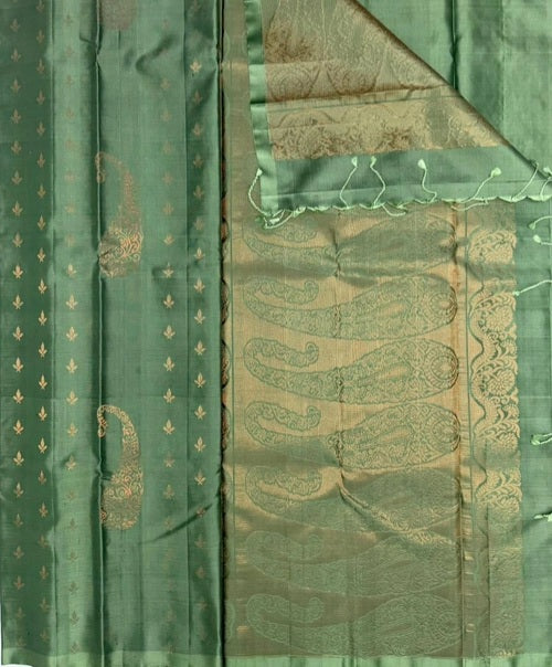 Panimalar pastel green color body,pallu,blouse - Pure silk saree