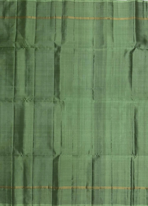Vidhisha pastel green color body,pallu , blouse - Pure silk saree