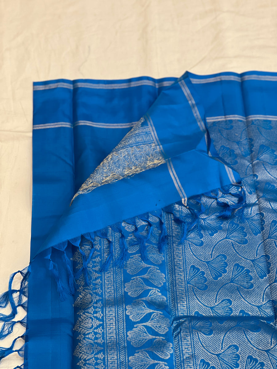 Sagarika handloom softsilk saree - Pure silk saree