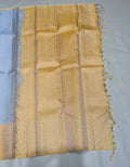 Vaidoori powder blue handloom vaira oosi softsilk saree - Pure silk saree