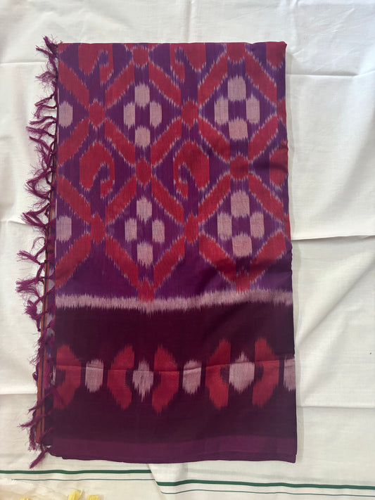 Kaatrinila purple handloom pure cotton saree - Pochampally design