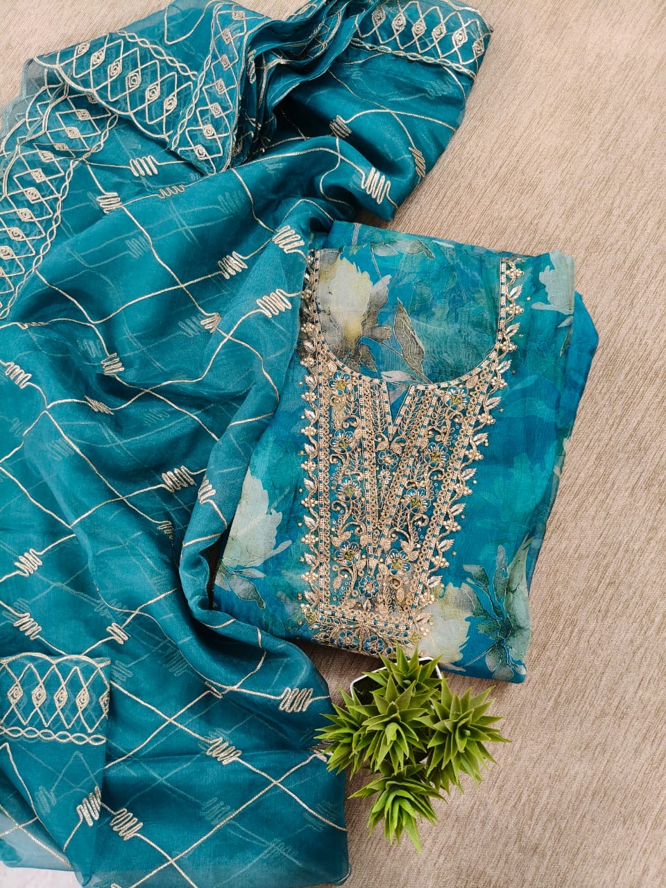 Organza salwar with yoke work - 3 colors
