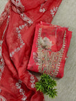 Organza salwar with yoke work - 3 colors