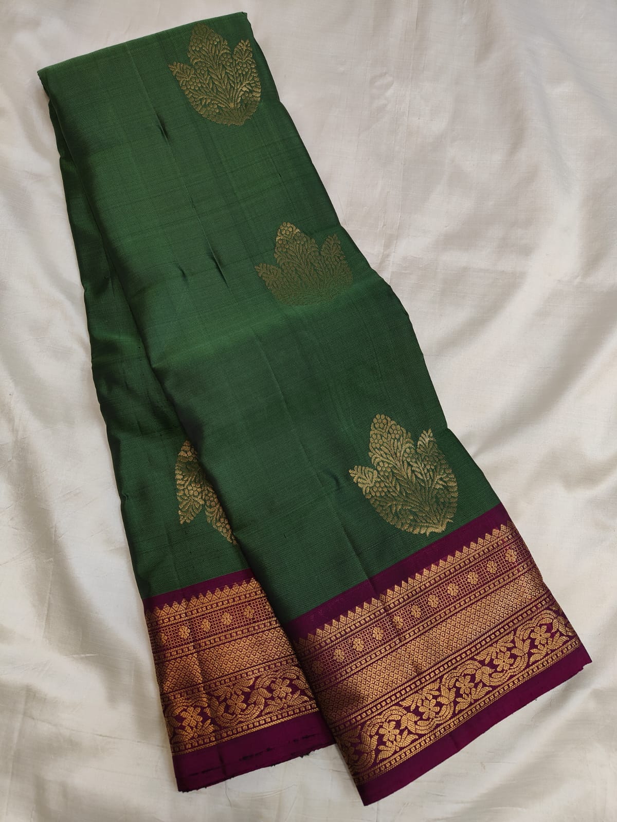 Kanchi Border Soft Silk